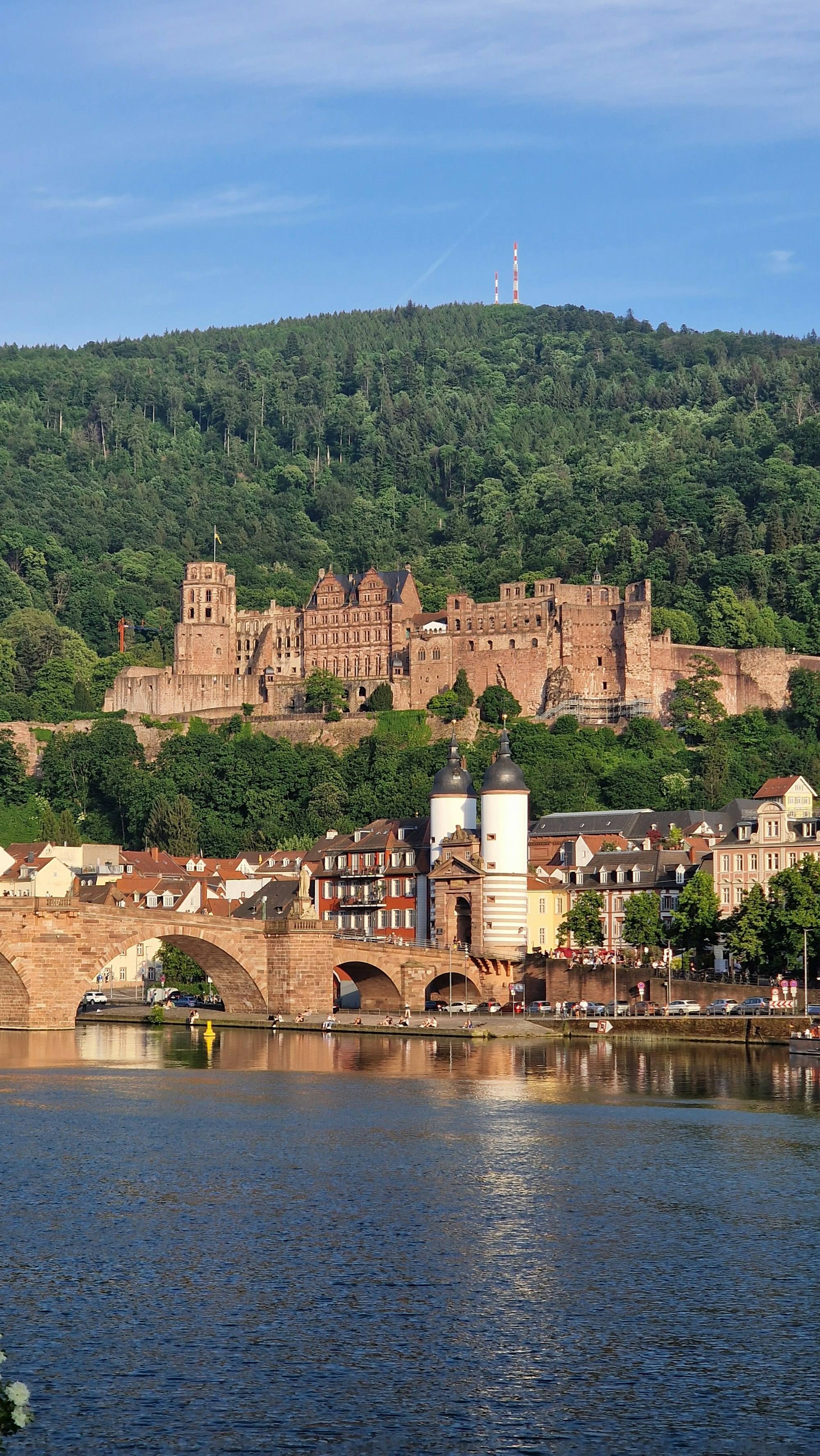 Blick über den Neckar auf die Alte Brücke, dahinter das Heidelberger Schloss am Hang