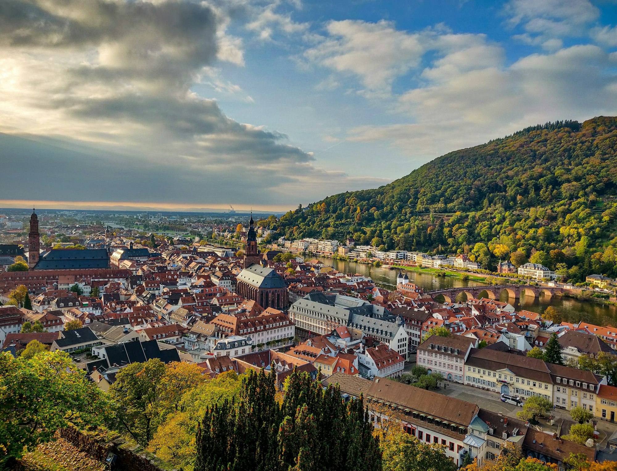 Luftbild der Heidelberger Altstadt mit Dächern und bewaldeten Hängen